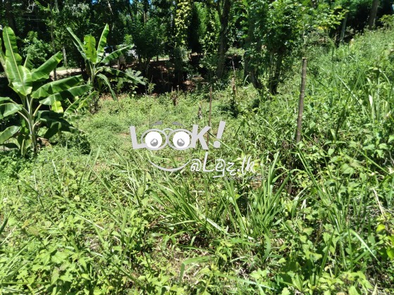 Land and house for sale 