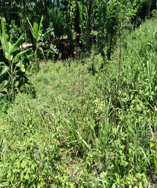 Land and house for sale 