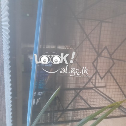 Ballan sadaha kuduwak