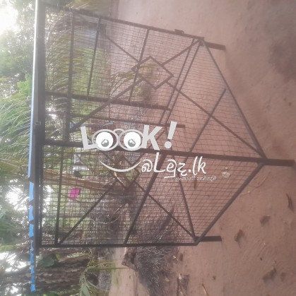 Ballan sadaha kuduwak