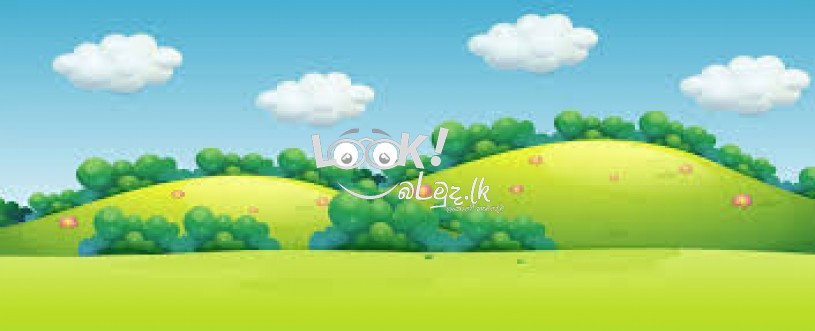 100p LAND for Sale Puttalam