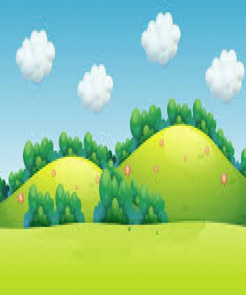 100p LAND for Sale Puttalam