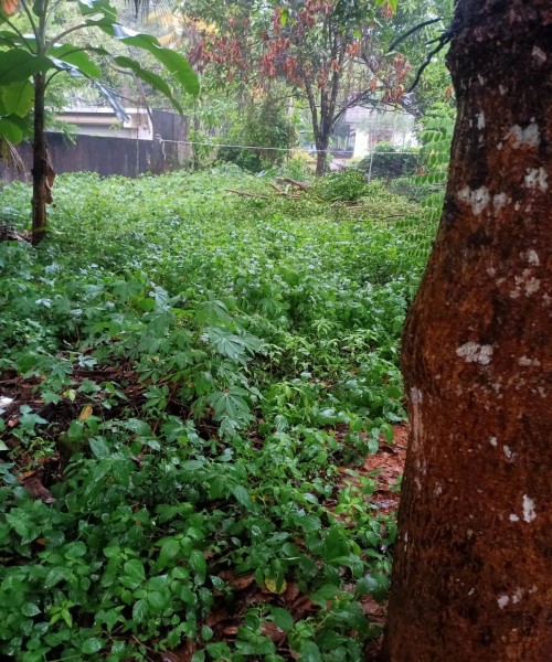 LAND FOR SALE Padukka 