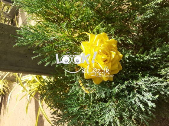 Hair band & hair clip 