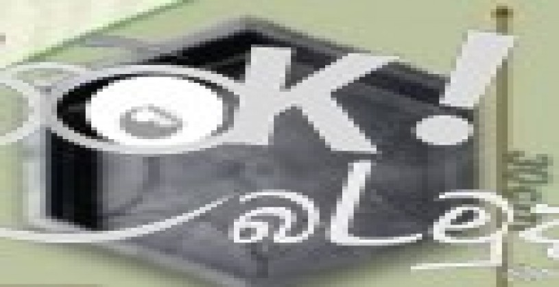 Plastic Interlock Blok