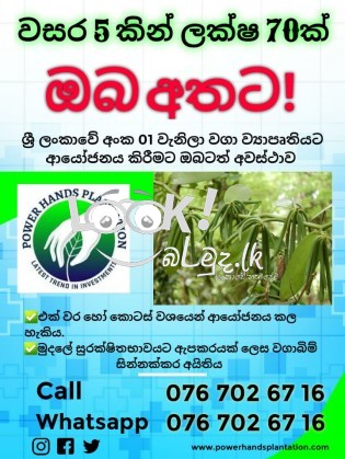  Power hands plantation