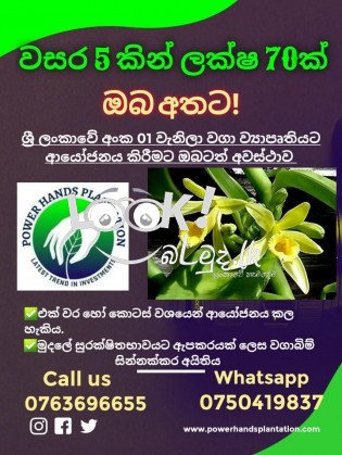  Power hands plantation