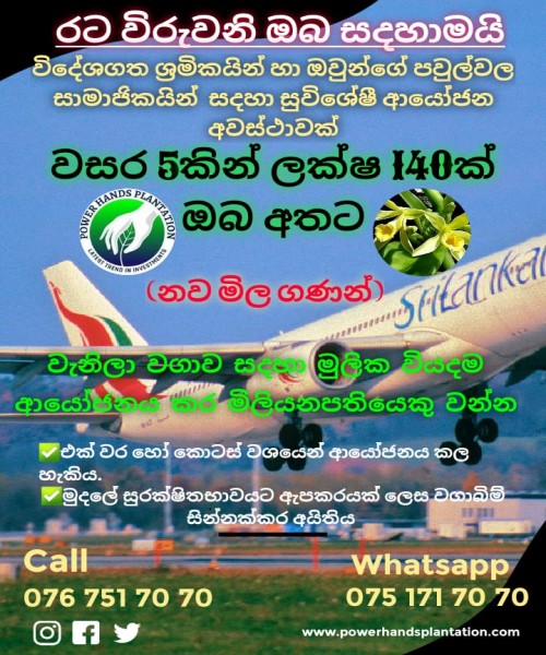  Power hands plantation