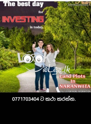 අඟනා ඉඩමක් 