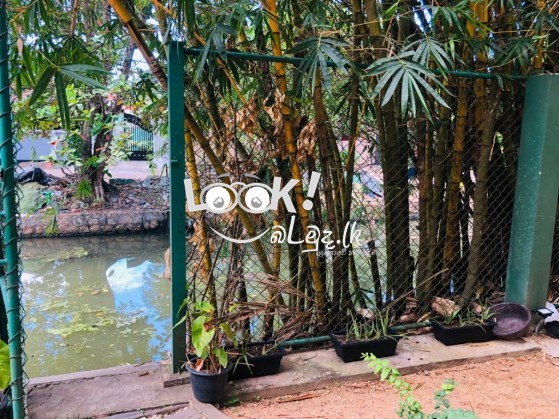 Hotel for Sale Negombo