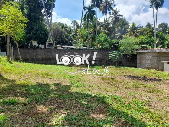 Land For Sale Kadawatha 