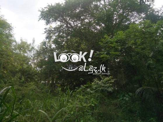 වැල්ලවාය නගරයෙන් ඉඩමක්