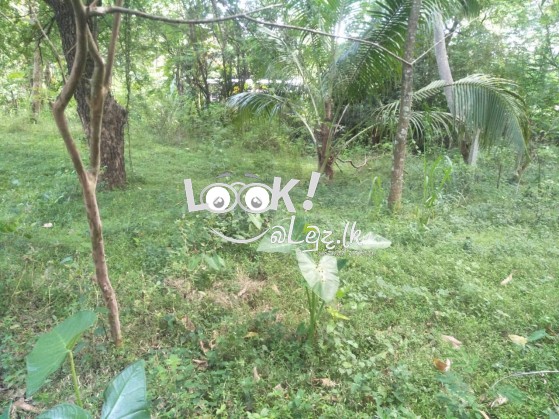 වැල්ලවාය නගරයෙන් ඉඩමක්