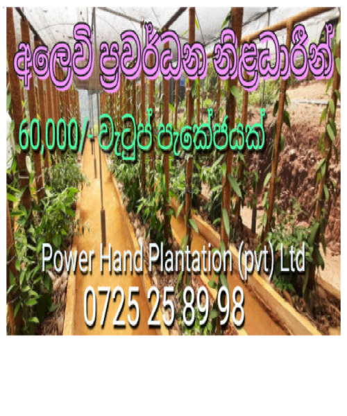 අලෙවි උපදේශකයන් අවශ්‍ය යි