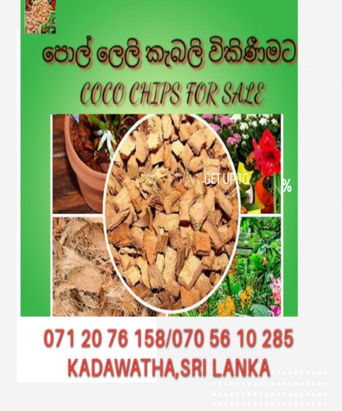 පොල් ලෙලි කැබලි කර විකණිමට 