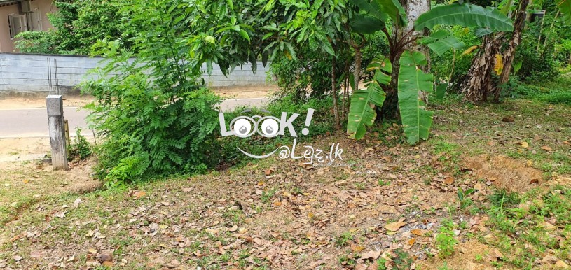 Land for Sale GALLE