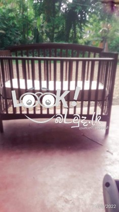 බේබි කොට්