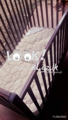 බේබි කොට්