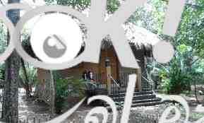 Elephant safari hotel