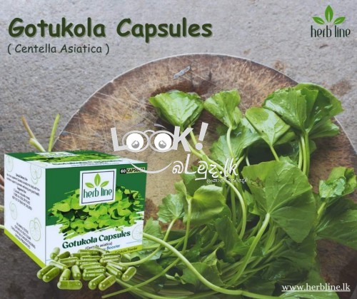 Herbline Natural Products 