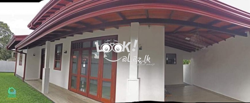 Building Repairs Painting 