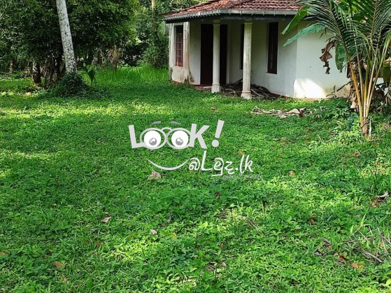 Land for sale Veyangoda 