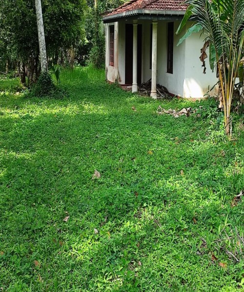 Land for sale Veyangoda 