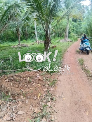 Land for Sale Kurunagala,Girulla-  කුරුණෑගල ,ගිරිඋල්ල ඉඩමක් විකිණීමට