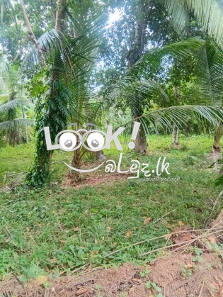 Land for Sale Kurunagala,Girulla-  කුරුණෑගල ,ගිරිඋල්ල ඉඩමක් විකිණීමට