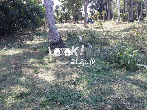 Land for sale KOTUGODA 