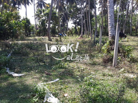 Land for sale KOTUGODA 