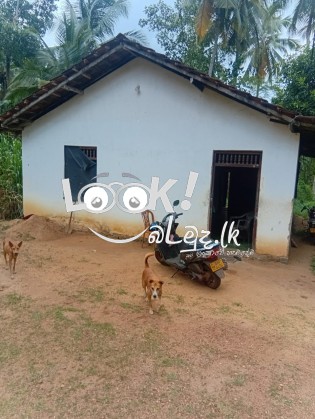 කුරුණෑගල ගිරිඋල්ල බමිමන්න පාර  කොටුවැල්ල  නිවාස ක් සහිත ඉඩම විකිණීමට 