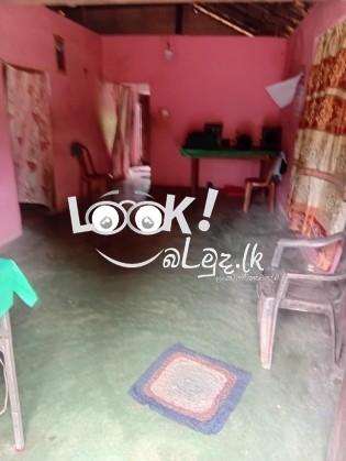 කුරුණෑගල ගිරිඋල්ල බමිමන්න පාර  කොටුවැල්ල  නිවාස ක් සහිත ඉඩම විකිණීමට 