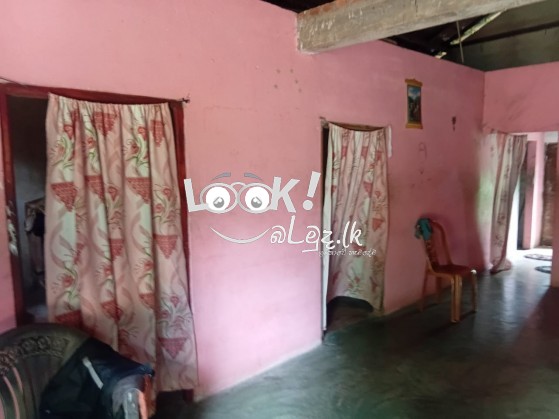 කුරුණෑගල ගිරිඋල්ල බමිමන්න පාර  කොටුවැල්ල  නිවාස ක් සහිත ඉඩම විකිණීමට 