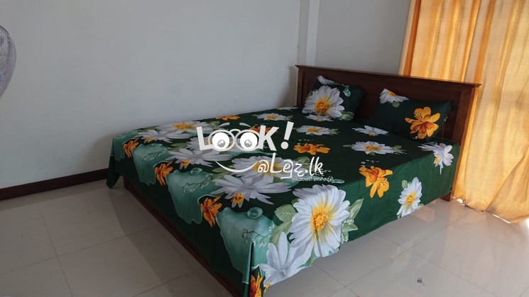 Soft Cotton bed sheet with 2 pillowcases