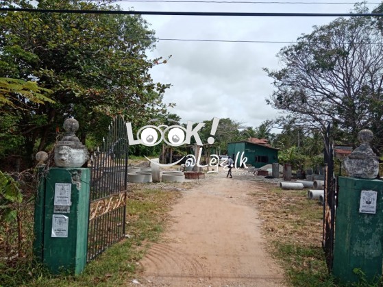 LAND for Sale PUTTALAM 