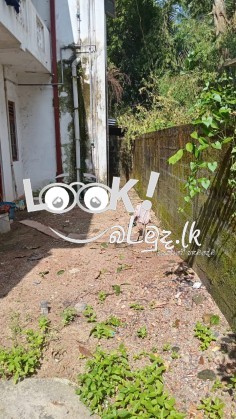 ගම්පහ  මිනුවන්ගොඩ  ප්‍රධාන මාර්ගයට  මුහුණලා ඇති අගනා නිවාස විකිණීමට 