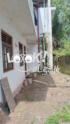 ගම්පහ  මිනුවන්ගොඩ  ප්‍රධාන මාර්ගයට  මුහුණලා ඇති අගනා නිවාස විකිණීමට 