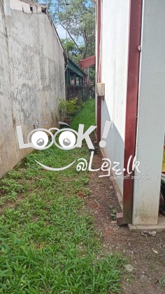 ගම්පහ  මිනුවන්ගොඩ  ප්‍රධාන මාර්ගයට  මුහුණලා ඇති අගනා නිවාස විකිණීමට 