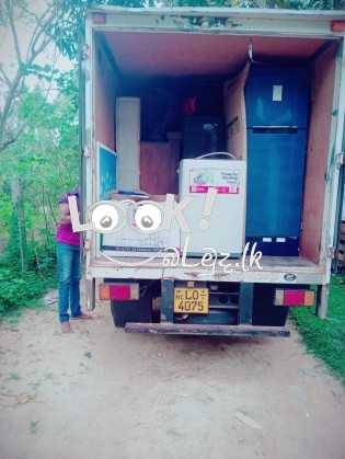 Number One Best EAGLE MOVERS Professional Transporters 