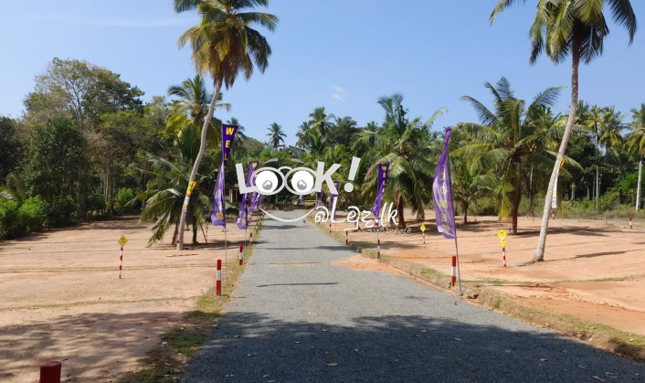 LAND FOR SALE Golden Gate  Land