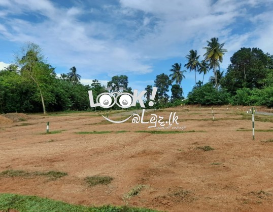 LAND FOR SALE Golden Gate  Land