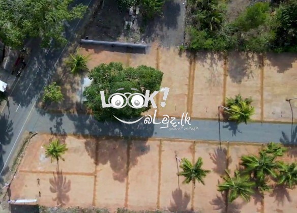 LAND FOR SALE Golden Gate  Land