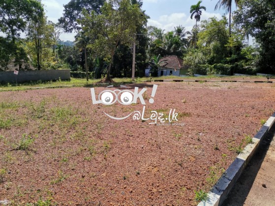 LAND FOR SALE Golden Gate  Land