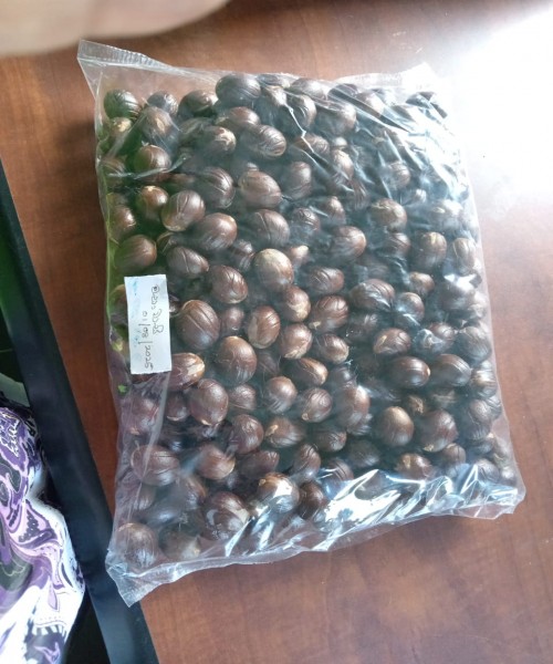 Dried Nutmeg and Mace.