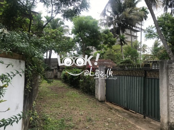  අගනා  බිම් කොටසක් විකිණීමට – දළුගම, රක්කන්දළුව වත්ත