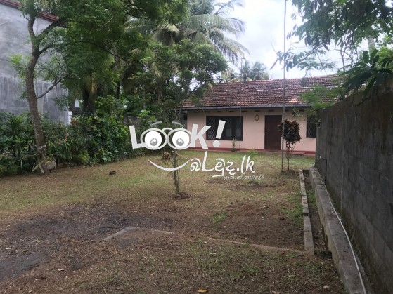  අගනා  බිම් කොටසක් විකිණීමට – දළුගම, රක්කන්දළුව වත්ත