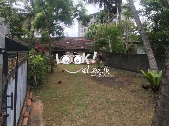  අගනා  බිම් කොටසක් විකිණීමට – දළුගම, රක්කන්දළුව වත්ත