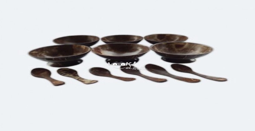 Coconut shell tea set & dessert set 