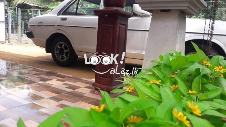 Car for sale Nissan sunny 